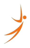 Pro Practical Logo